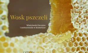Wosk pszczeli, idealny dla cera alba, w plastrach miodu. Właściwości lecznicze i zastosowanie w kosmetyce.