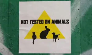 Plakat z napisem "NOT TESTED ON ANIMALS" i sylwetkami zwierząt. Wybieraj kosmetyki nietestowane na zwierzętach.
