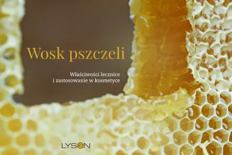 Wosk pszczeli, idealny dla cera alba, w plastrach miodu. Właściwości lecznicze i zastosowanie w kosmetyce.