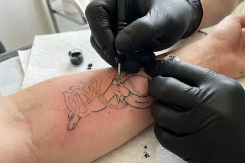 Artysta tworzy tatuaż wilka metodą handpoke na przedramieniu.