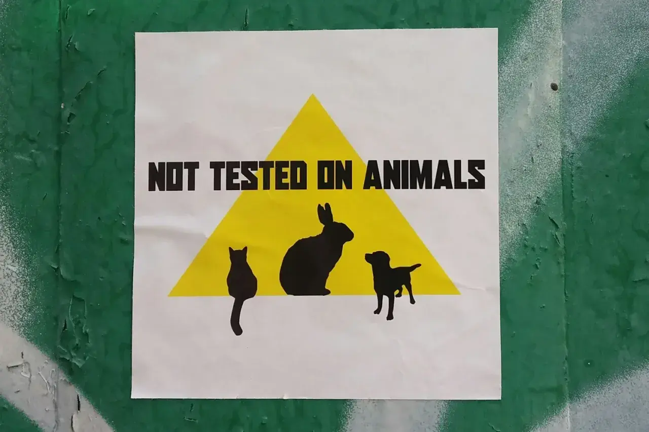 Plakat z napisem "NOT TESTED ON ANIMALS" i sylwetkami zwierząt. Wybieraj kosmetyki nietestowane na zwierzętach.