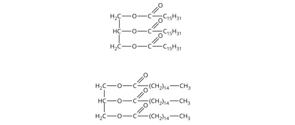 Struktury chemiczne glicerolu estryfikowanego kwasem stearynowym (glyceryl stearate) i kwasem palmitynowym.